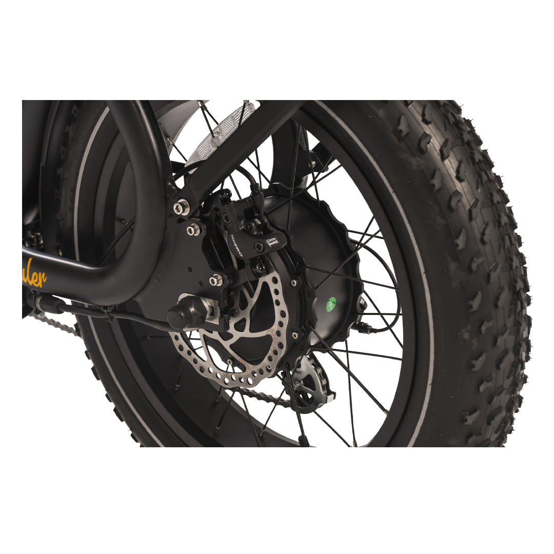Roots Rider Prowler vintage cafe racer electric bike product image