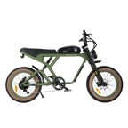 Roots Rider Cougar electric bike in Wild Green