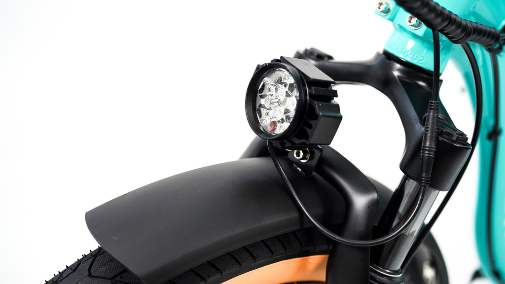 Roots Rider Rebel 2 electric bike lifestyle photo
