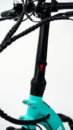 Roots Rider Rebel 2 electric bike lifestyle photo