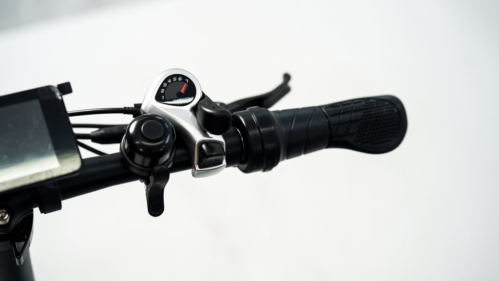 Roots Rider Rebel 2 electric bike lifestyle photo