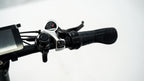 Roots Rider Rebel 2 electric bike lifestyle photo
