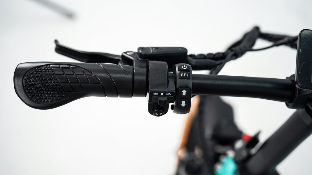 Roots Rider Rebel 2 electric bike lifestyle photo