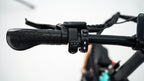 Roots Rider Rebel 2 electric bike lifestyle photo