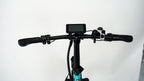 Roots Rider Rebel 2 electric bike lifestyle photo