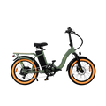 Roots Rider Rebel 2 green folding fat tire electric bike product image