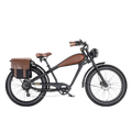 Roots Rider Cheetah 2 vintage fat tire electric bike product image