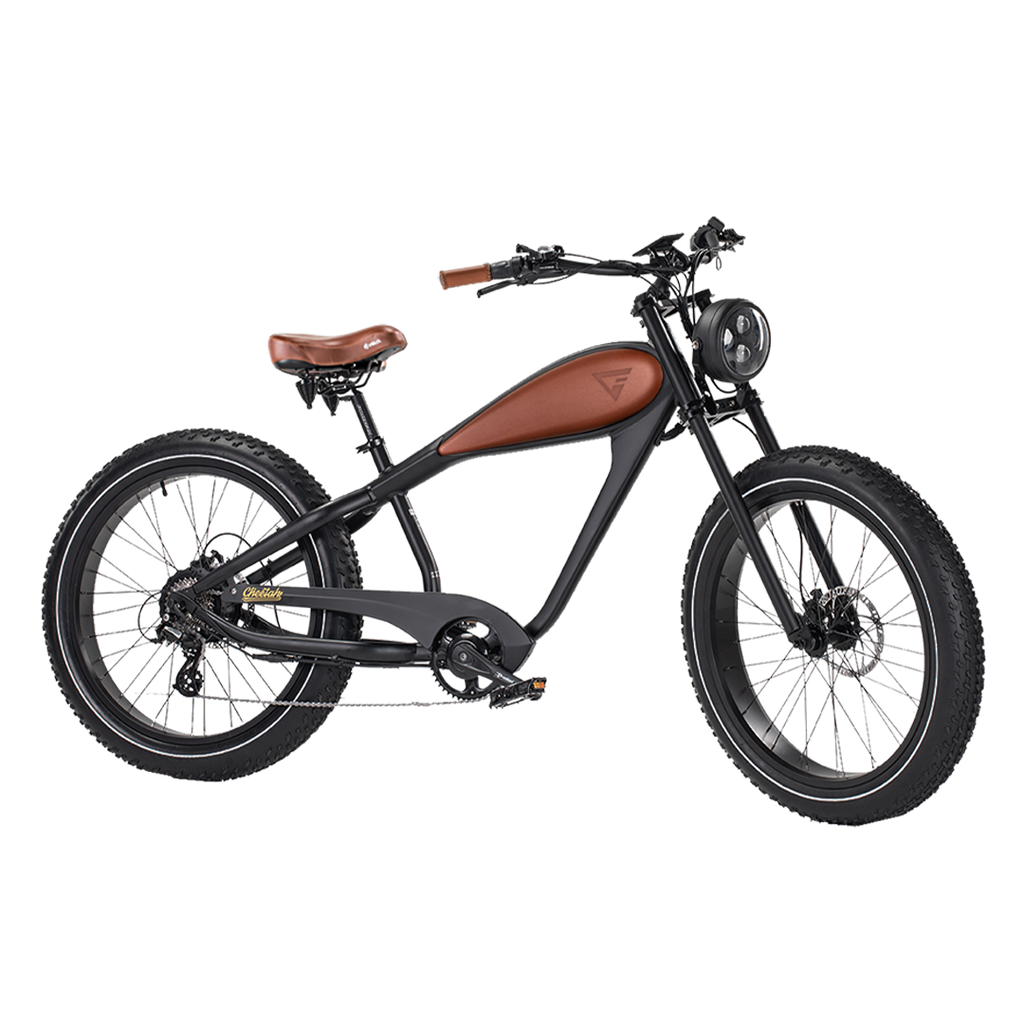 Roots Rider Cheetah 2 vintage fat tire electric bike product image