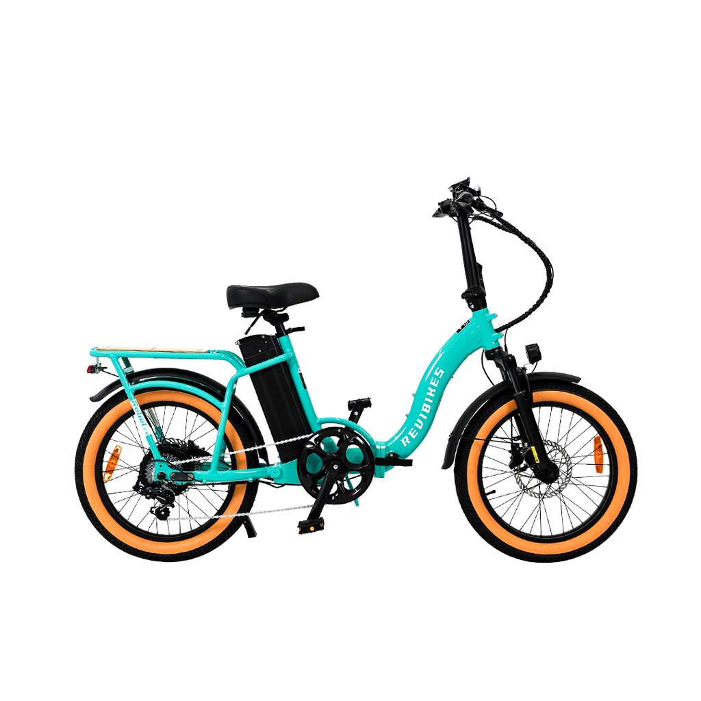 Roots Rider Rebel 2 included passenger pegs electric bike