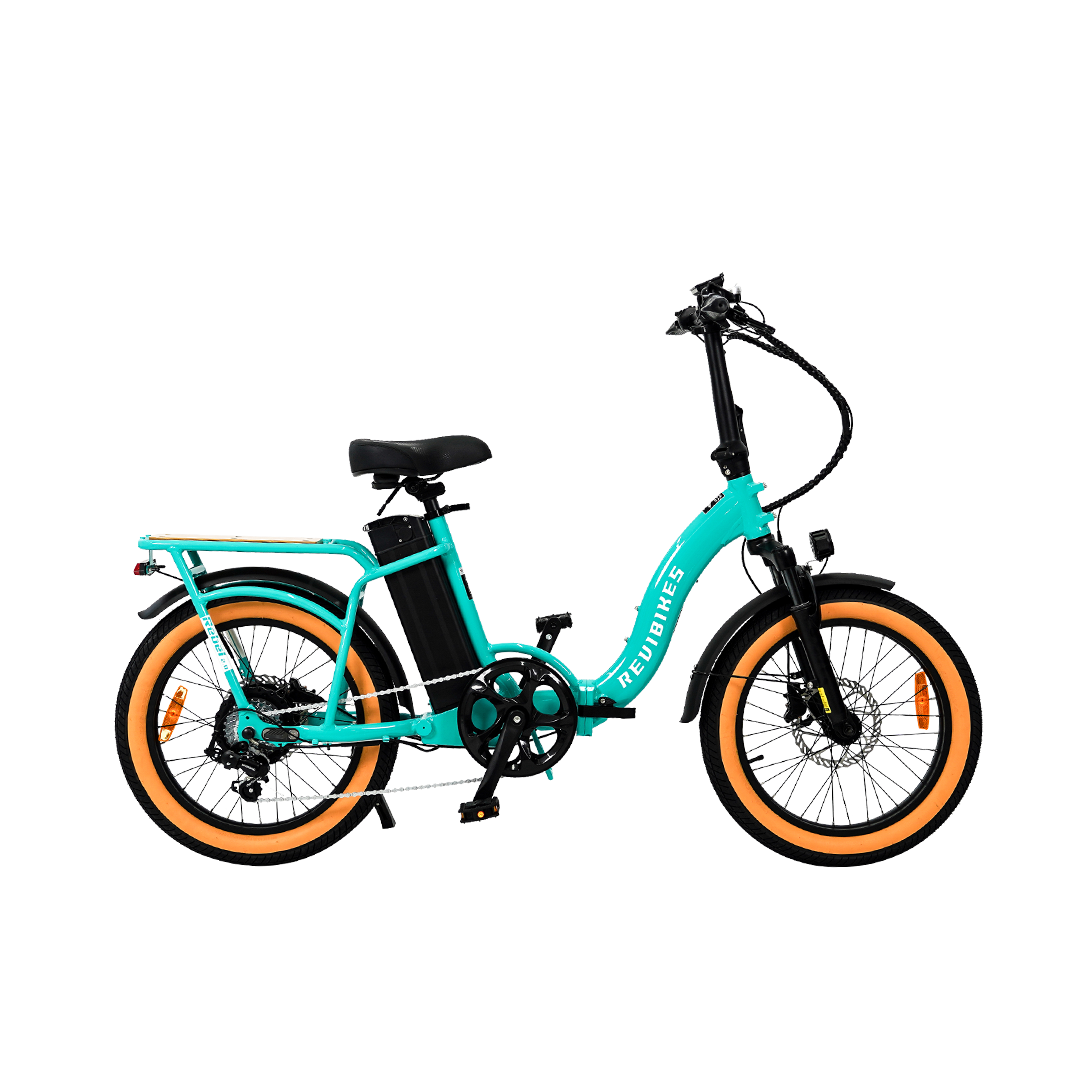 Roots Rider Rebel 2 included passenger pegs electric bike