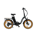 Roots Rider Rebel 2 Pro folding electric bike in Antracit