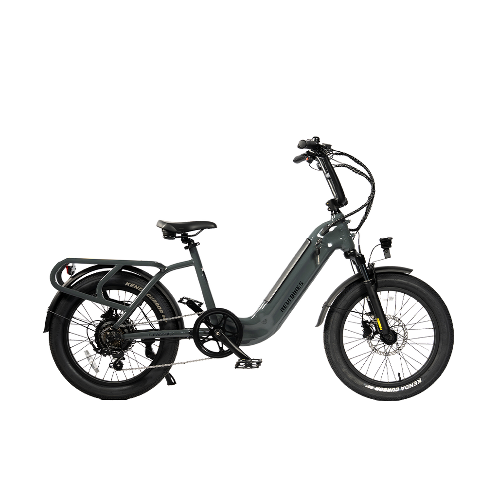 Roots Rider Runabout 2 step-through electric bike in Antracit