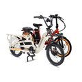 Roots Rider Flux cargo electric bike beside the folding Rebel 2, sold together as one order