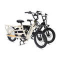 Roots Rider Flux cargo electric bike beside the Runabout 2 step-through, sold together as one order