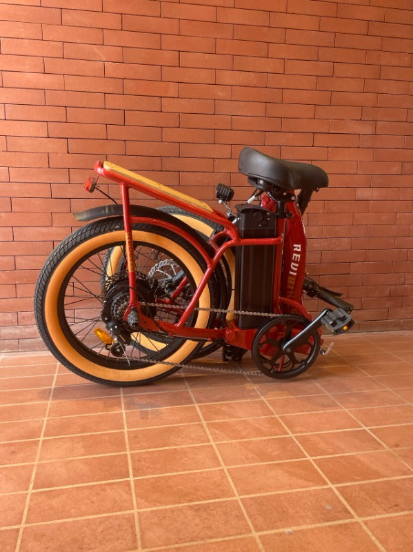 Owner photo: Ellen and their Roots Rider Rebel 2 electric bike