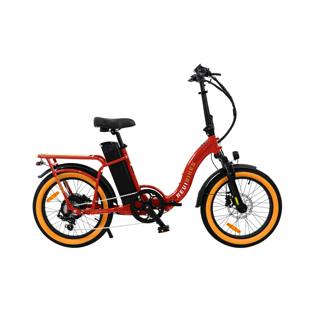 Roots Rider Rebel 2 Pro long range electric bike product image