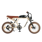 Roots Rider Cougar moped style fat tire electric bike product image