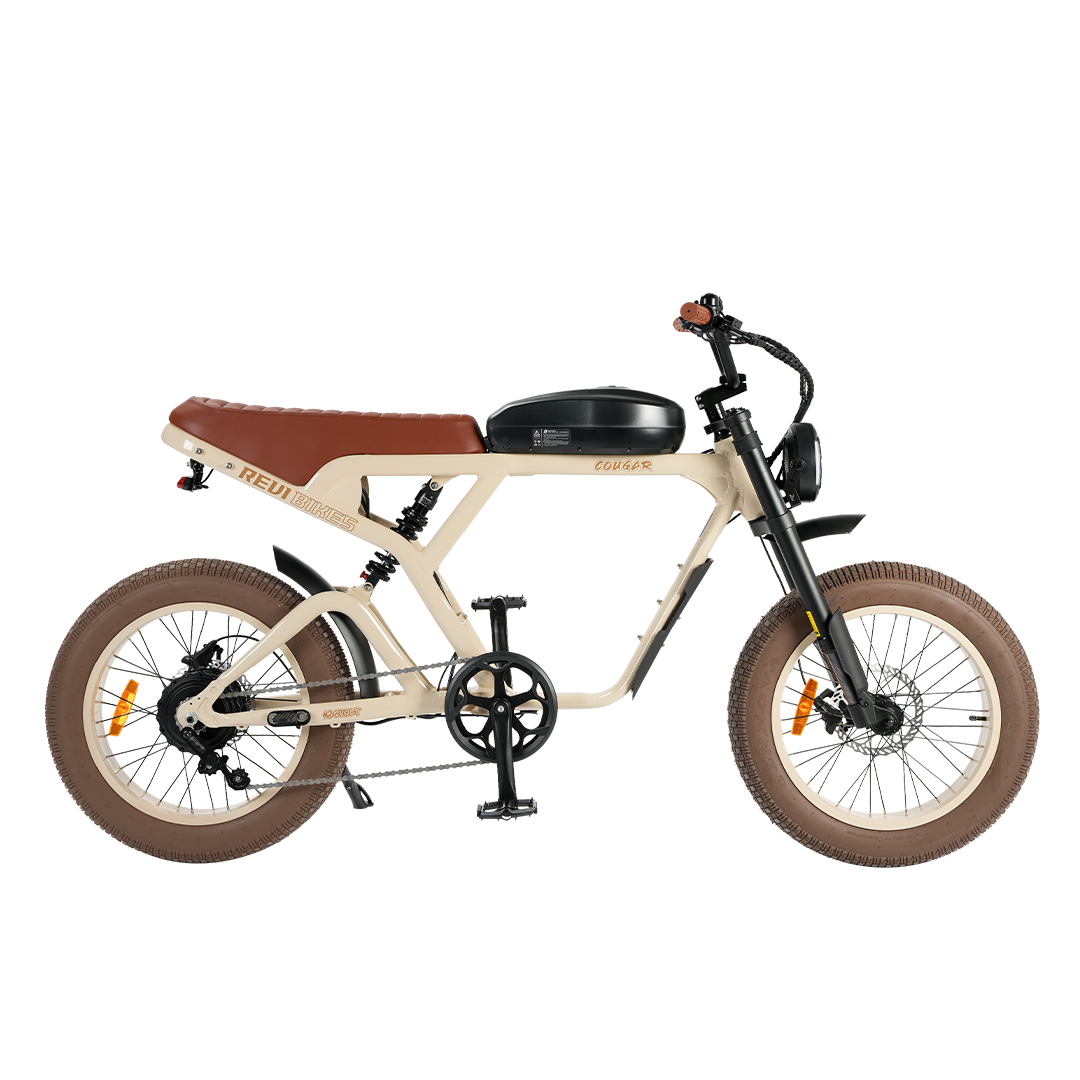 Roots Rider Cougar moped style fat tire electric bike product image
