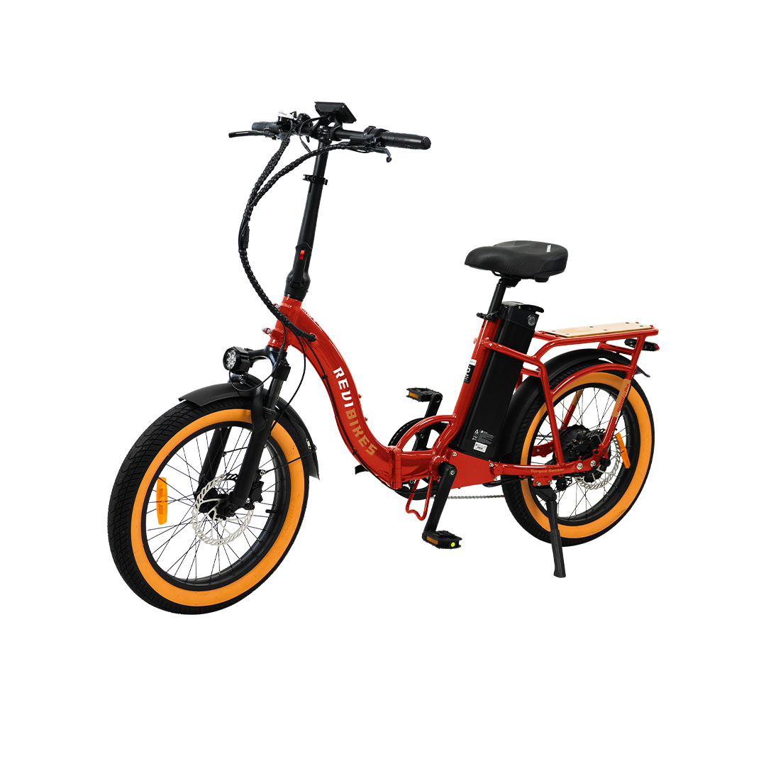 Roots Rider Rebel 2 Pro long range electric bike product image