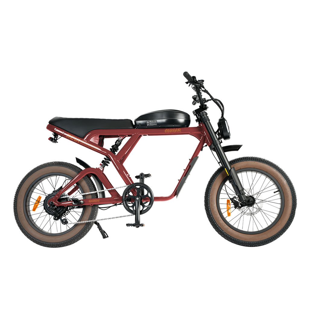 Roots Rider Cougar moped style fat tire electric bike product image