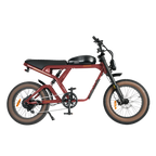 Roots Rider Cougar moped style fat tire electric bike product image