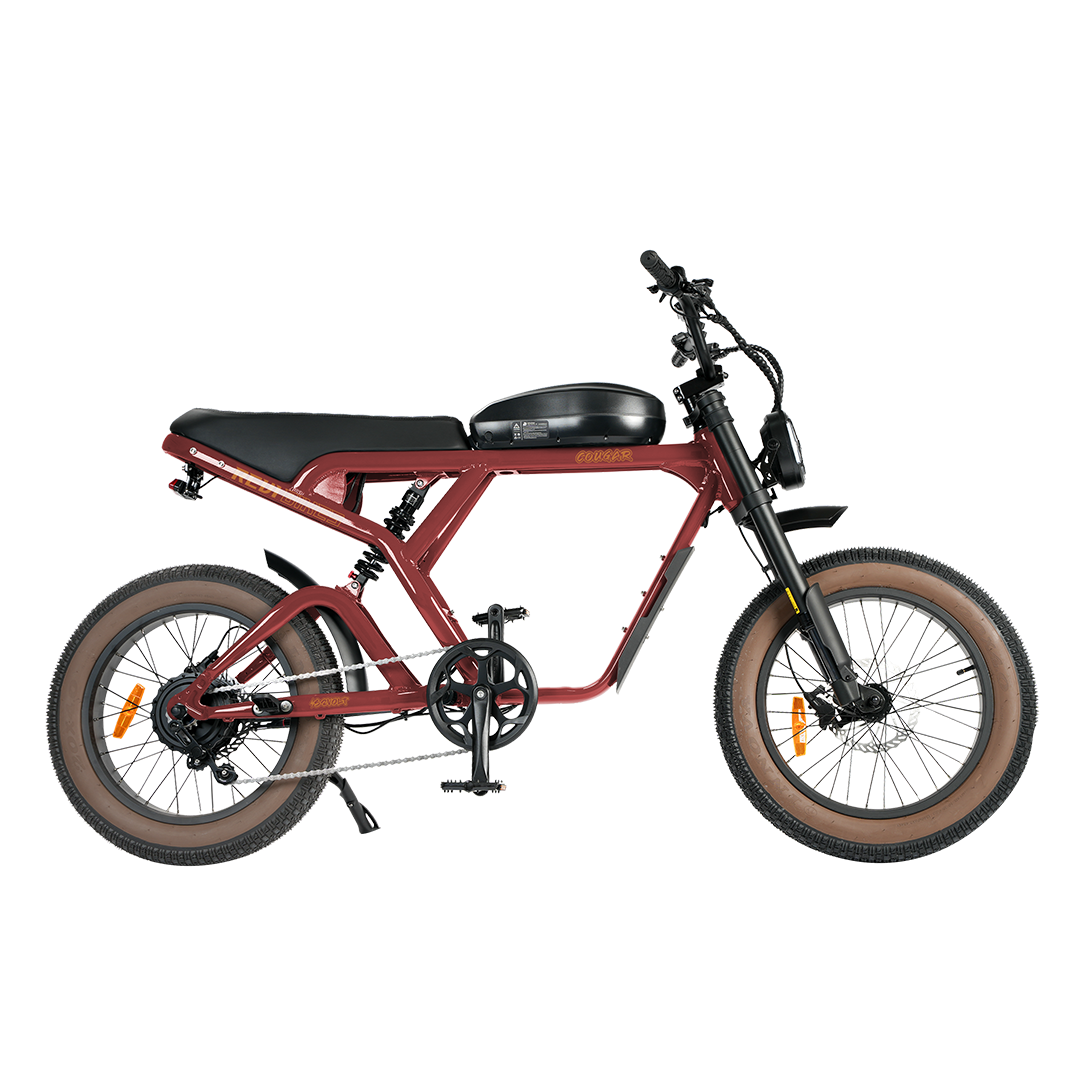 Roots Rider Cougar moped style fat tire electric bike product image
