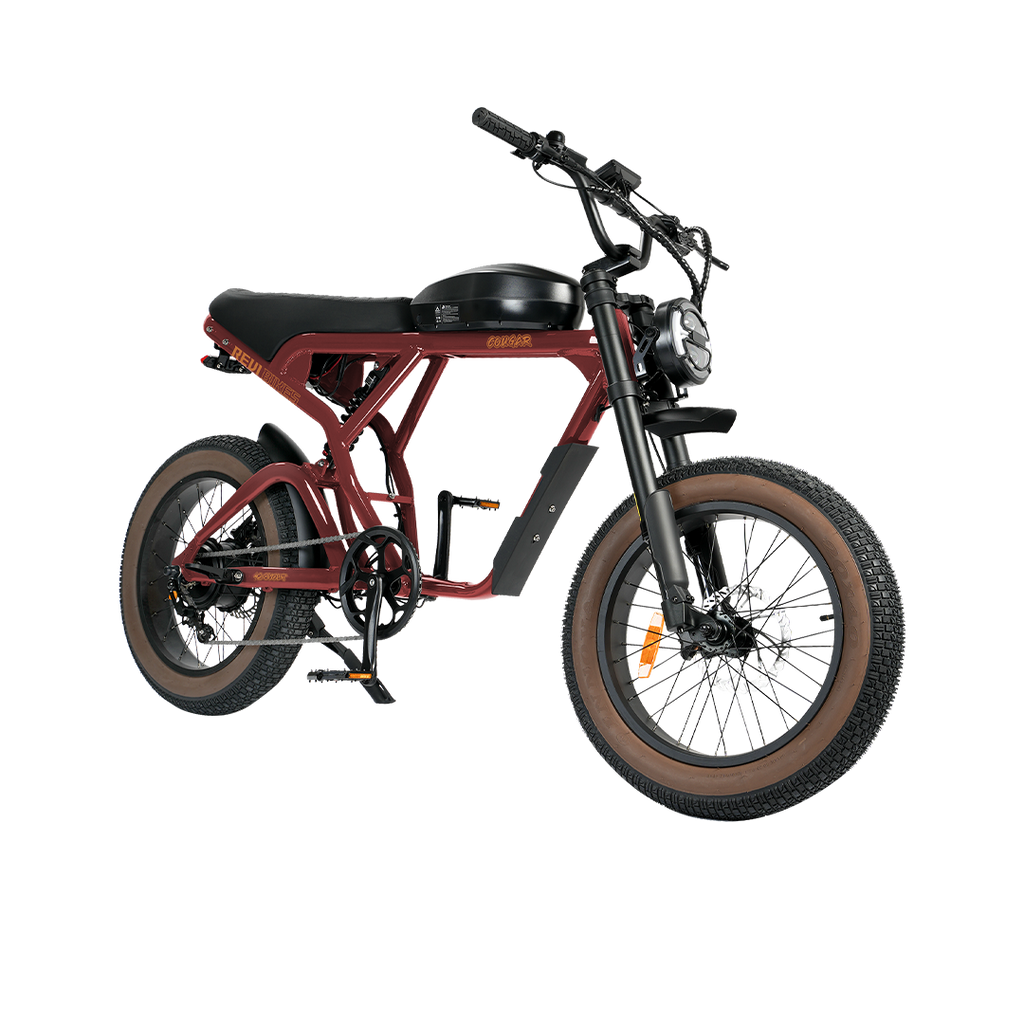 Roots Rider Cougar moped style fat tire electric bike product image