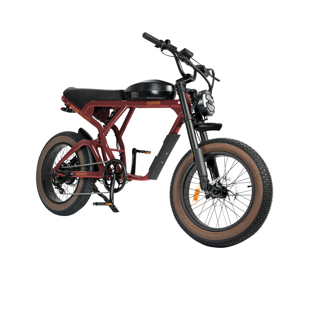 Roots Rider Cougar moped style fat tire electric bike product image