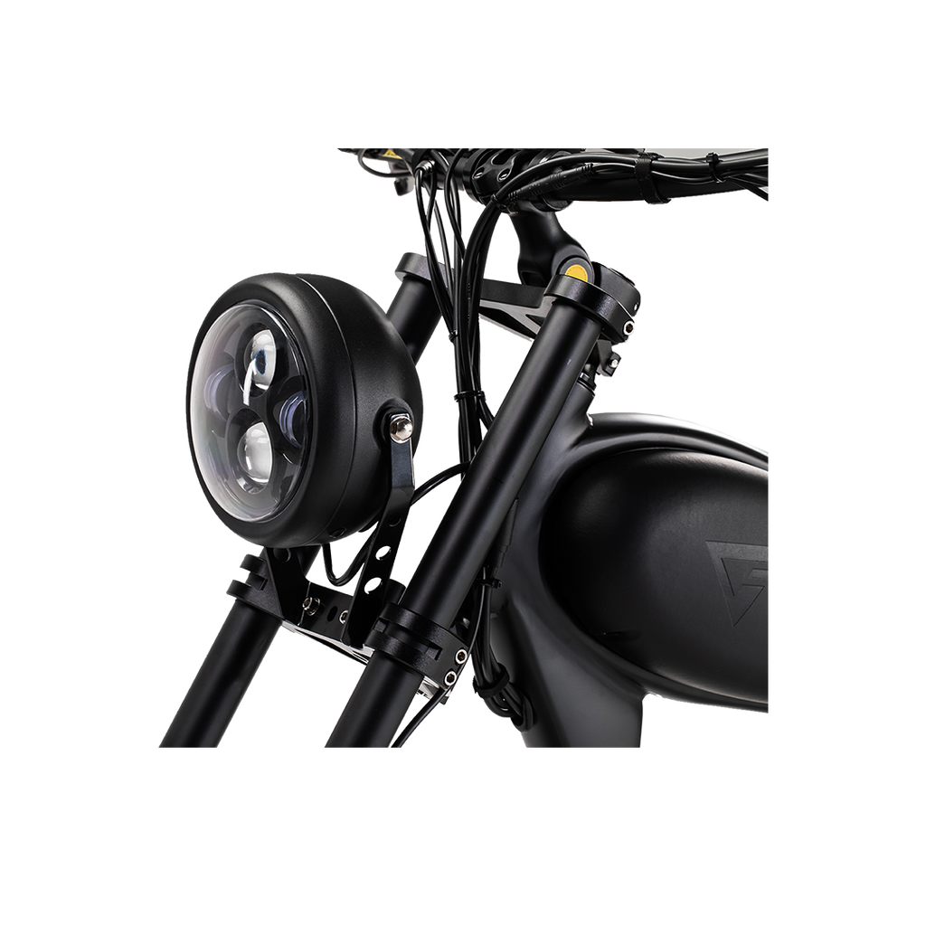Roots Rider Cheetah 2 vintage fat tire electric bike product image