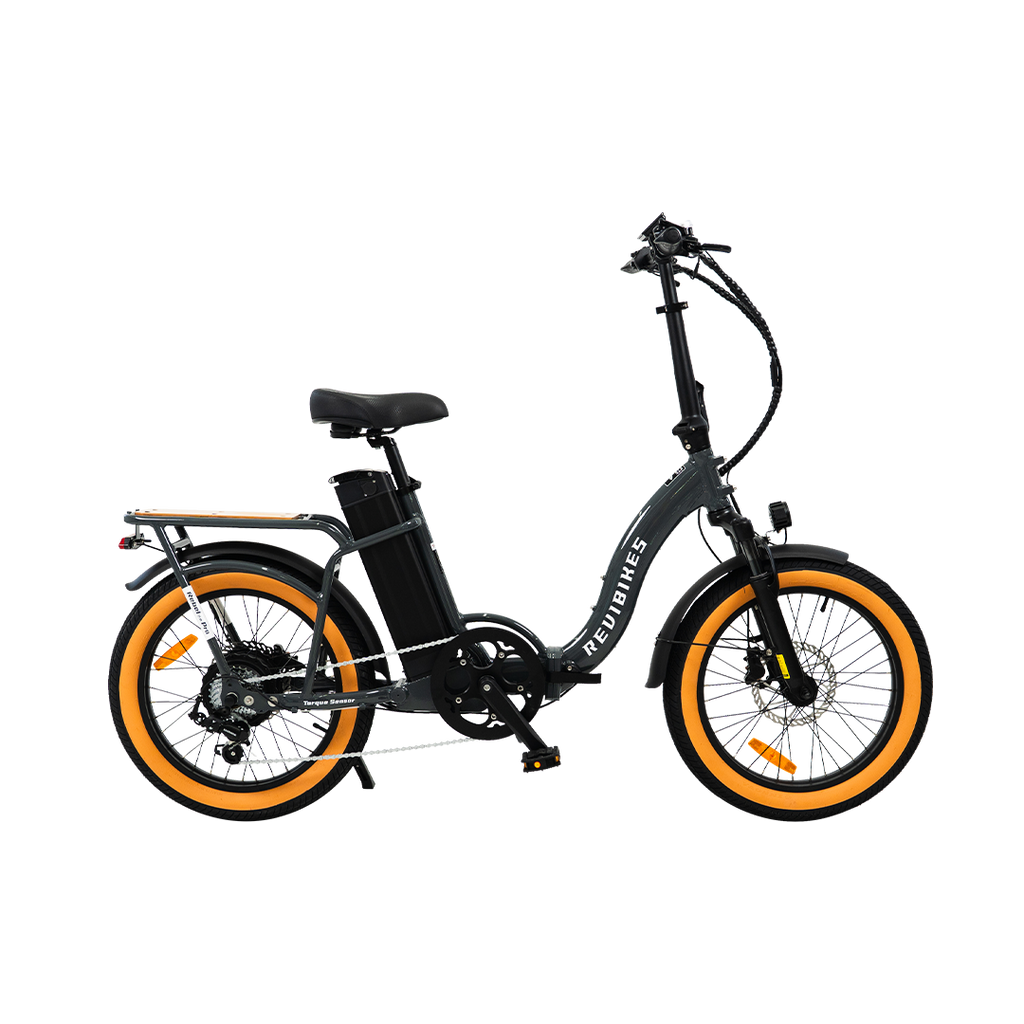 Roots Rider Rebel 2 Pro long range electric bike product image
