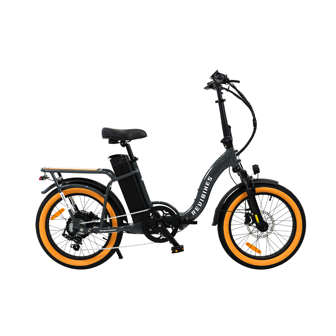 Roots Rider Rebel 2 Pro long range electric bike product image
