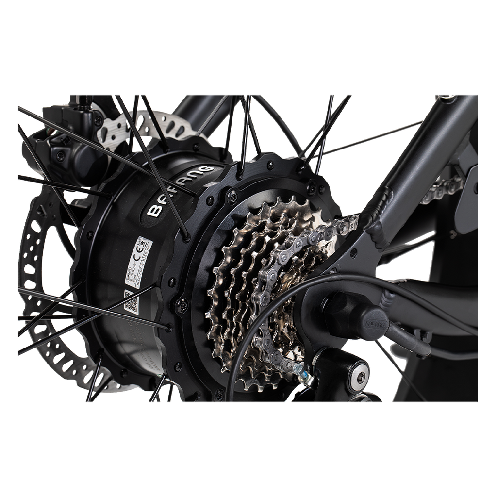 Roots Rider Cheetah 2 vintage fat tire electric bike product image