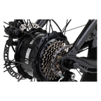 Roots Rider Cheetah 2 vintage fat tire electric bike product image