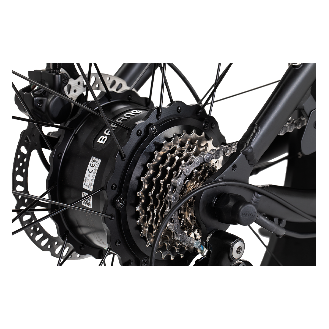 Roots Rider Cheetah 2 vintage fat tire electric bike product image