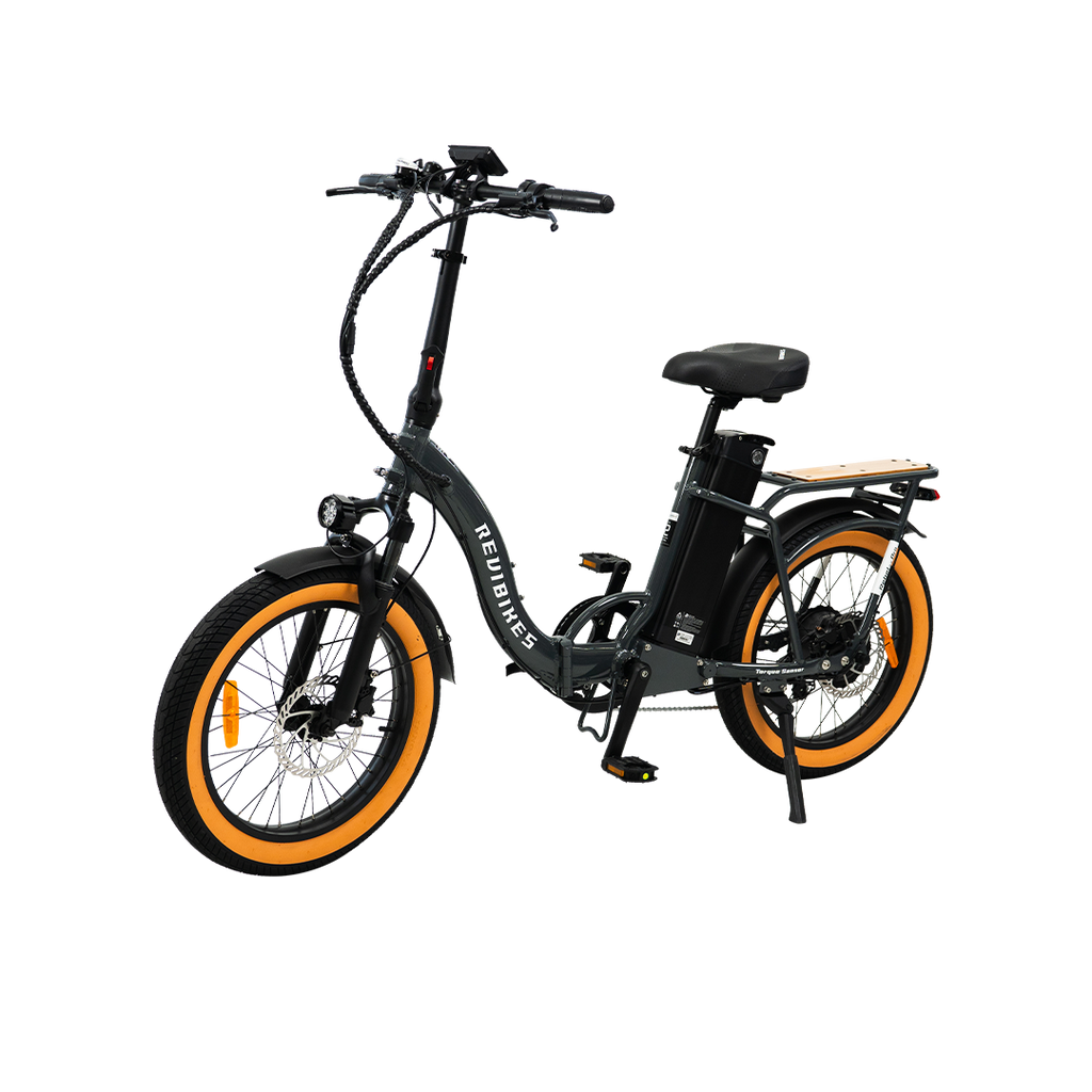Roots Rider Rebel 2 Pro long range electric bike product image