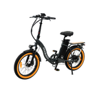 Roots Rider Rebel 2 Pro long range electric bike product image