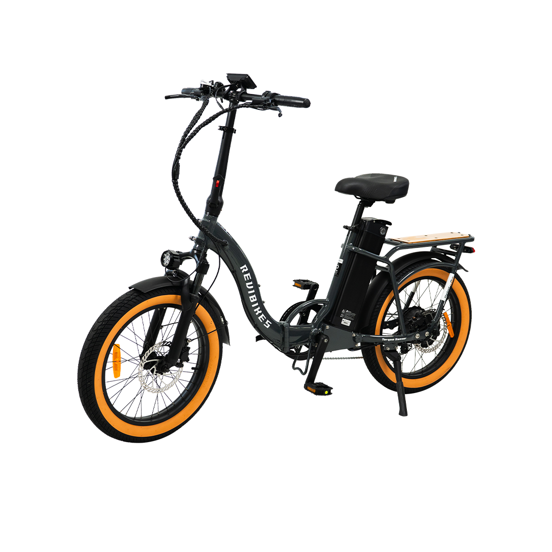 Roots Rider Rebel 2 Pro long range electric bike product image
