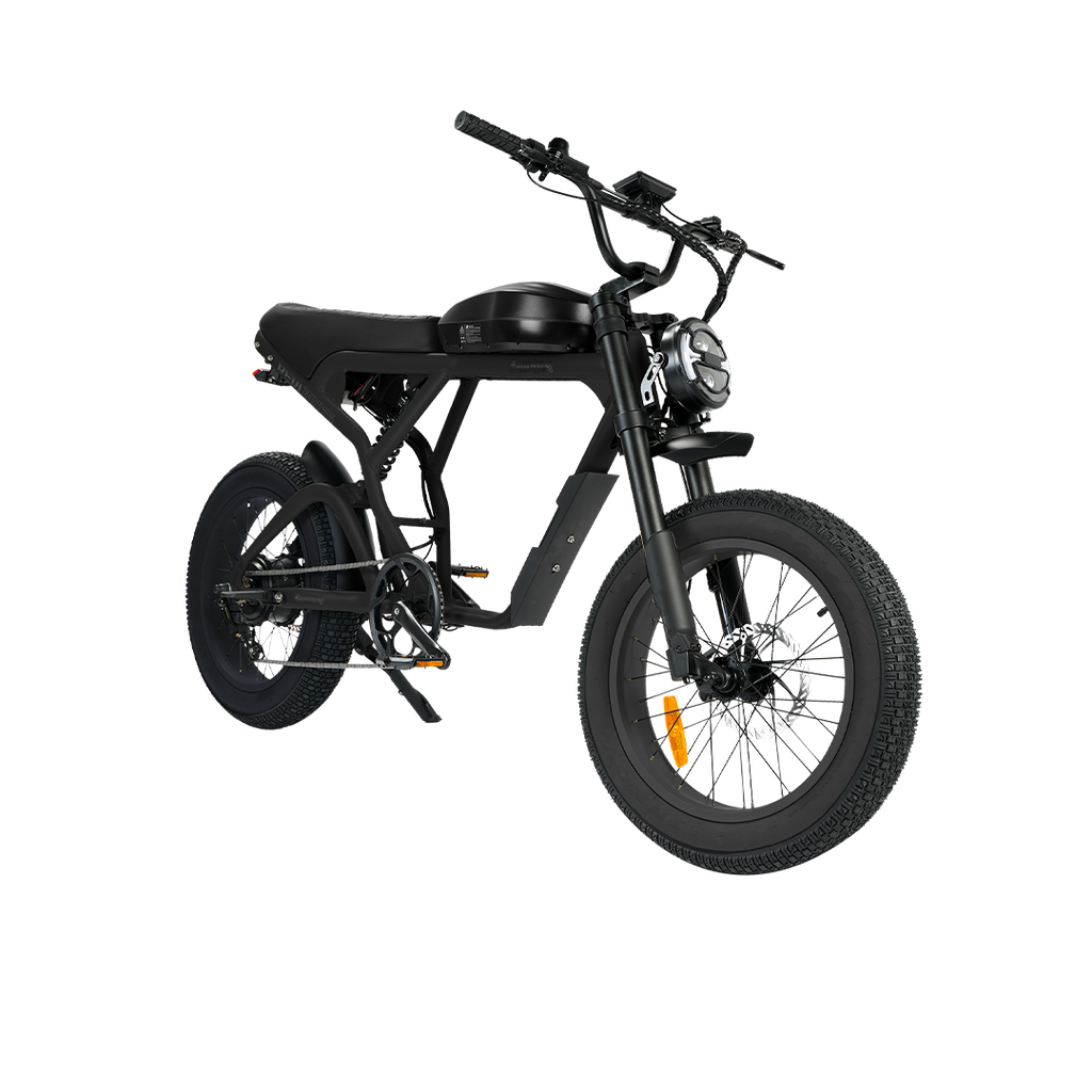 Roots Rider Cougar moped style fat tire electric bike product image