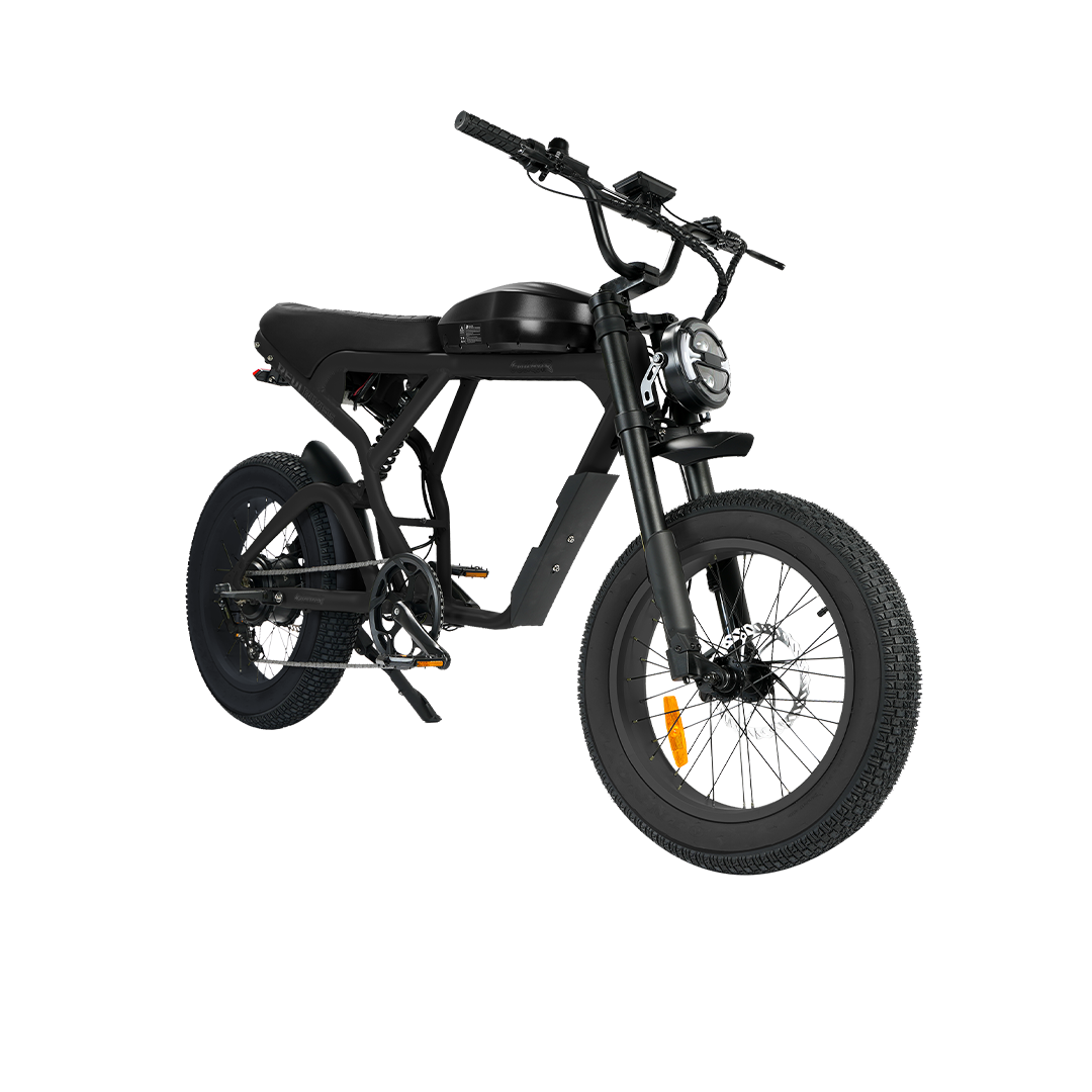 Roots Rider Cougar moped style fat tire electric bike product image