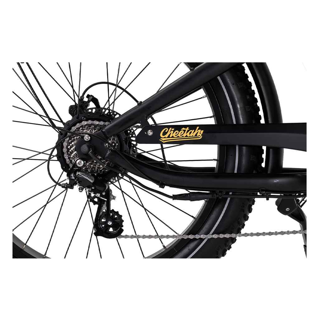 Roots Rider Cheetah 2 vintage fat tire electric bike product image