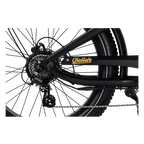 Roots Rider Cheetah 2 vintage fat tire electric bike product image
