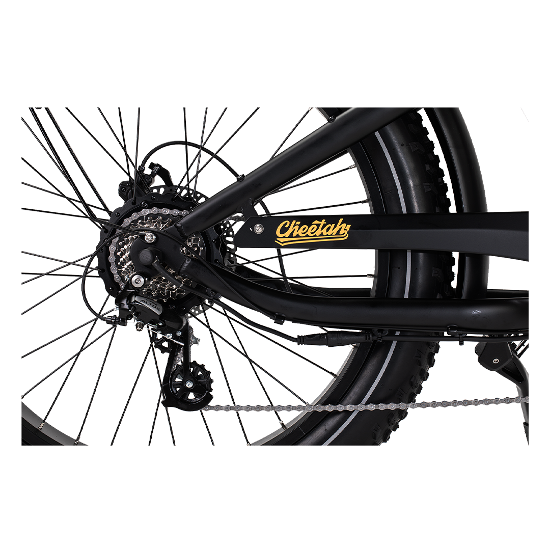 Roots Rider Cheetah 2 vintage fat tire electric bike product image