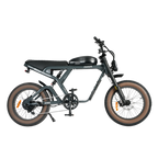 Roots Rider Cougar moped style fat tire electric bike product image