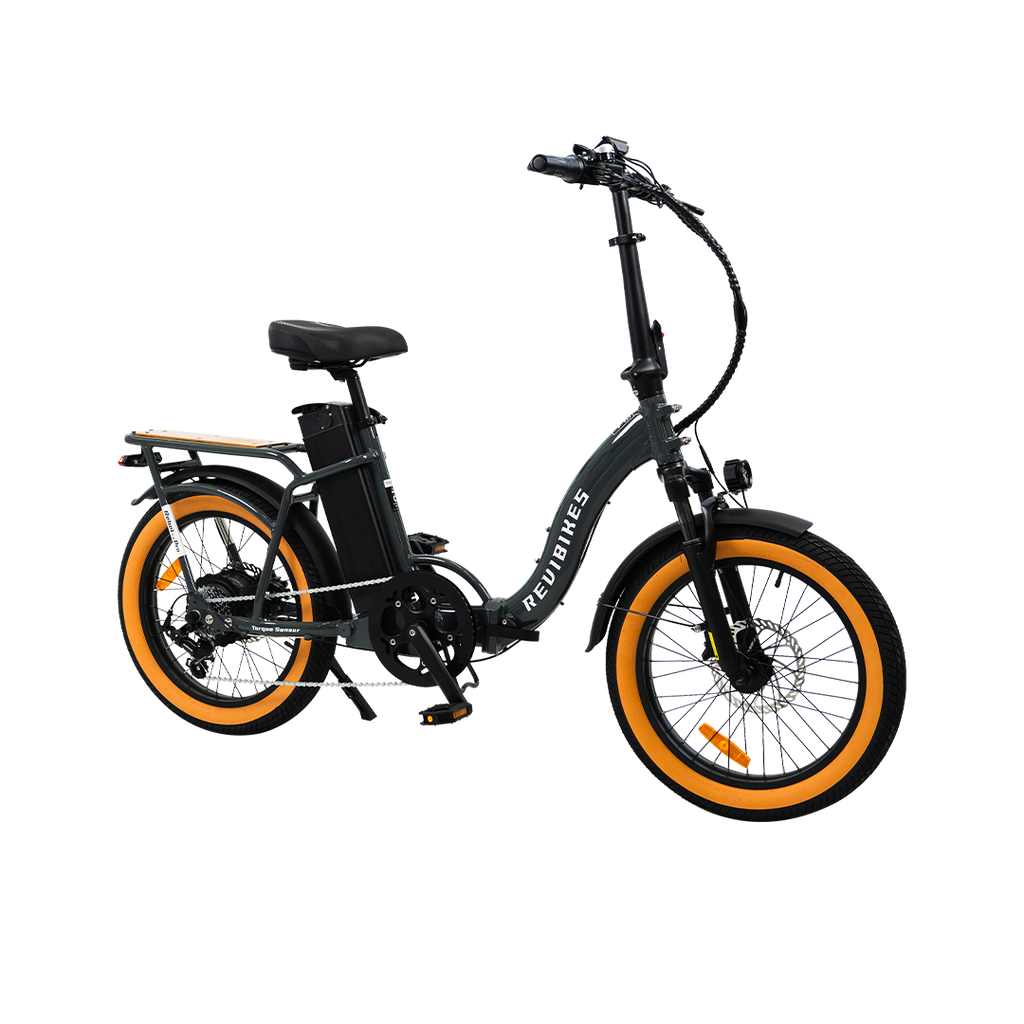 Roots Rider Rebel 2 Pro long range electric bike product image