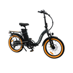 Roots Rider Rebel 2 Pro long range electric bike product image