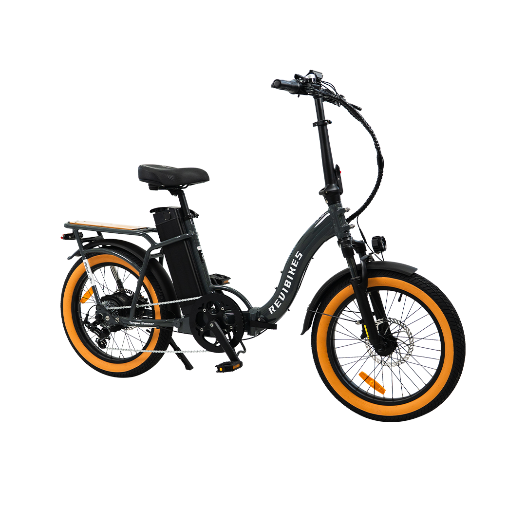 Roots Rider Rebel 2 Pro long range electric bike product image