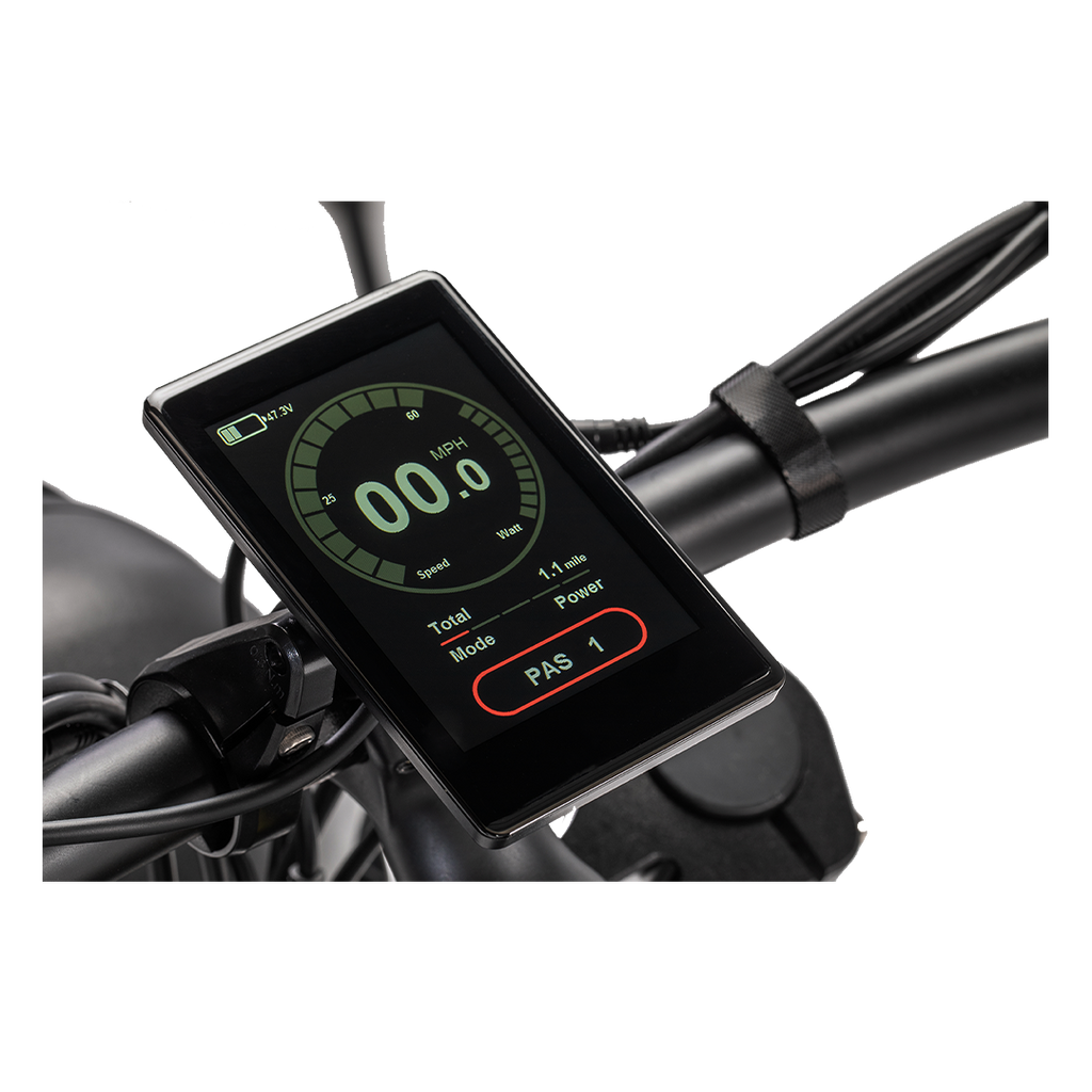 Roots Rider Cheetah 2 vintage fat tire electric bike product image