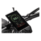 Roots Rider Cheetah 2 vintage fat tire electric bike product image