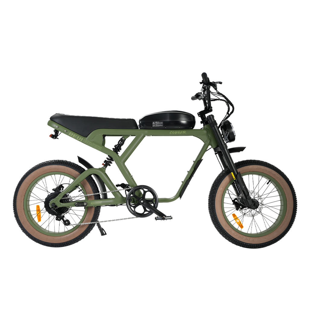 Roots Rider Cougar moped style fat tire electric bike product image
