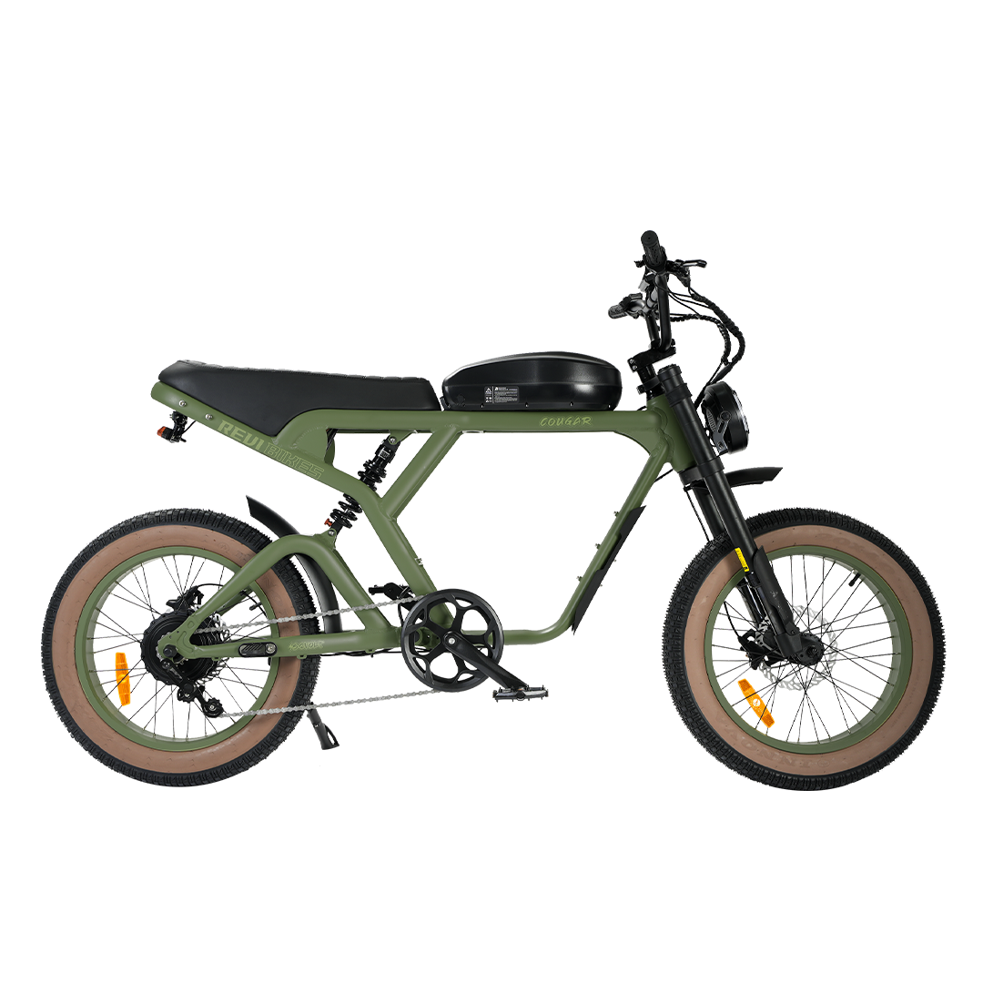 Roots Rider Cougar moped style fat tire electric bike product image